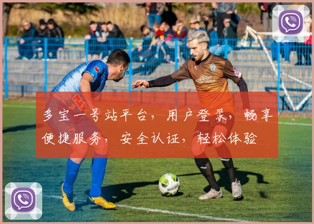 多宝一号站平台，用户登录，畅享便捷服务，安全认证，轻松体验