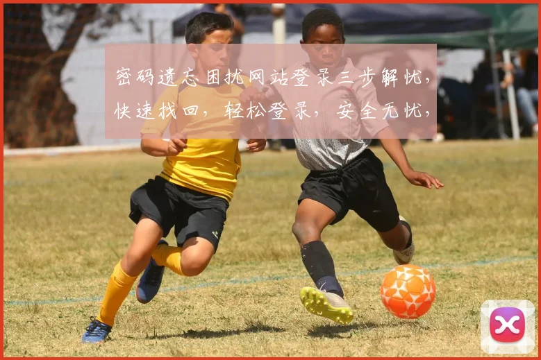 密码遗忘困扰网站登录三步解忧，快速找回，轻松登录，安全无忧，三重保障，一网打尽