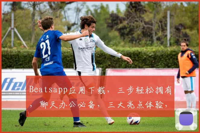 Beatsapp应用下载，三步轻松拥有，聊天办公必备，三大亮点体验，值得你尝试