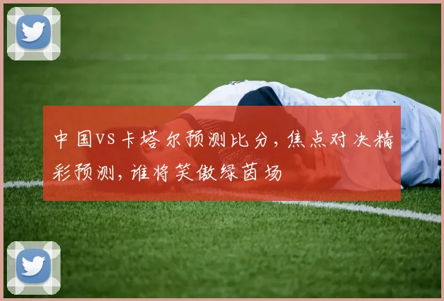 中国vs卡塔尔预测比分,焦点对决精彩预测,谁将笑傲绿茵场