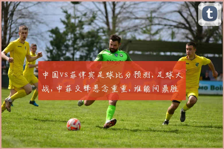 中国vs菲律宾足球比分预测,足球大战,中菲交锋悬念重重,谁能问鼎胜利