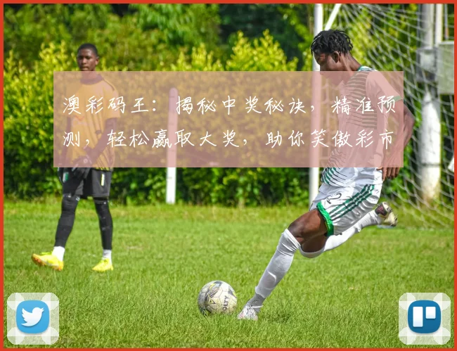 澳彩码王：揭秘中奖秘诀，精准预测，轻松赢取大奖，助你笑傲彩市