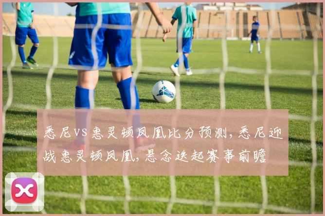 悉尼vs惠灵顿凤凰比分预测,悉尼迎战惠灵顿凤凰,悬念迭起赛事前瞻